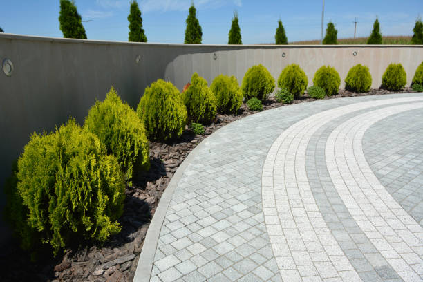 Best Local Driveway Pavers  in Martinsville, NJ